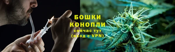 мяу мяу мука Богданович