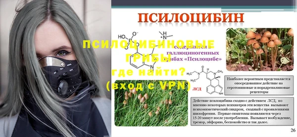 мяу мяу мука Богданович