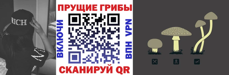 Купить  Гуково  Псилоцибиновые грибы мухоморы 