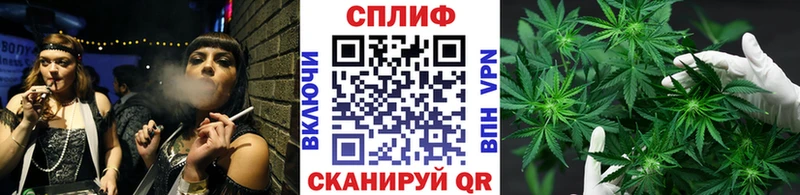 Купить где  Гуково  Марихуана индика 